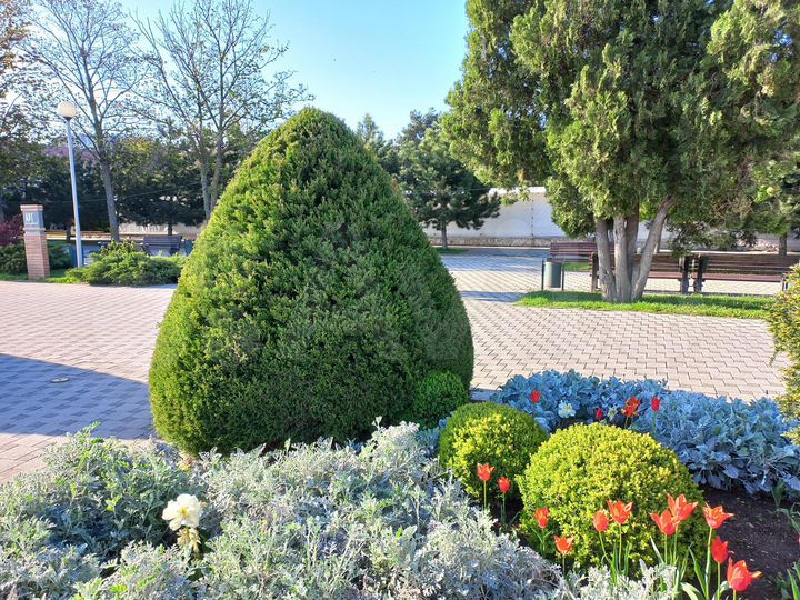 Квартира-студия, 28 м², 9/20 эт.