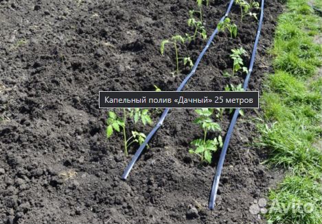 Капельный полив