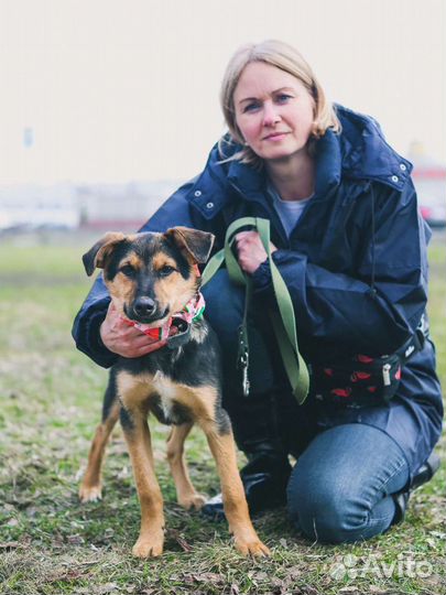 Щенок в добрые руки бесплатно, заберите Флору