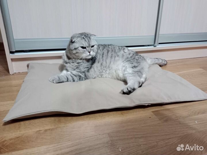 Товары для кошек и собак