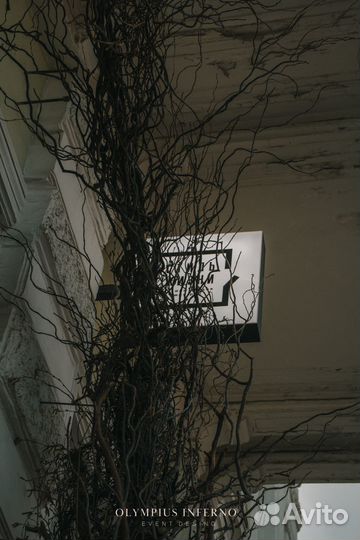 Оформление входной группы, фасада, витрин магазина