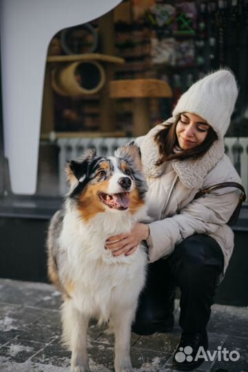 Франшиза зоомагазина