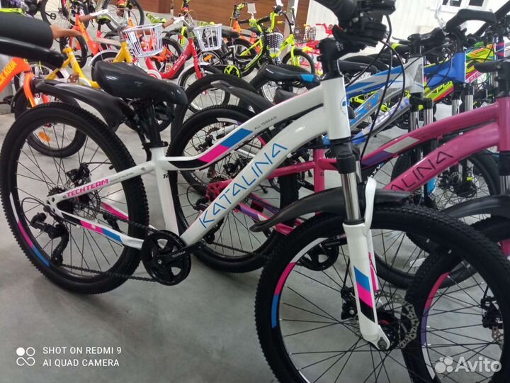 Tech team katalina 24