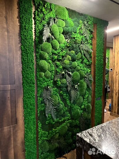 Стабилизированный Мох. Озеленение. Фитостена