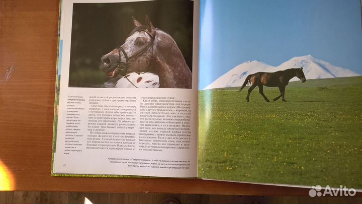 Книги о лошадях,альбом