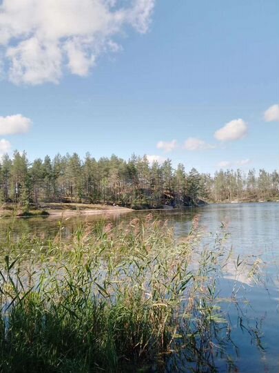 Участок 100 сот. (СНТ, ДНП)