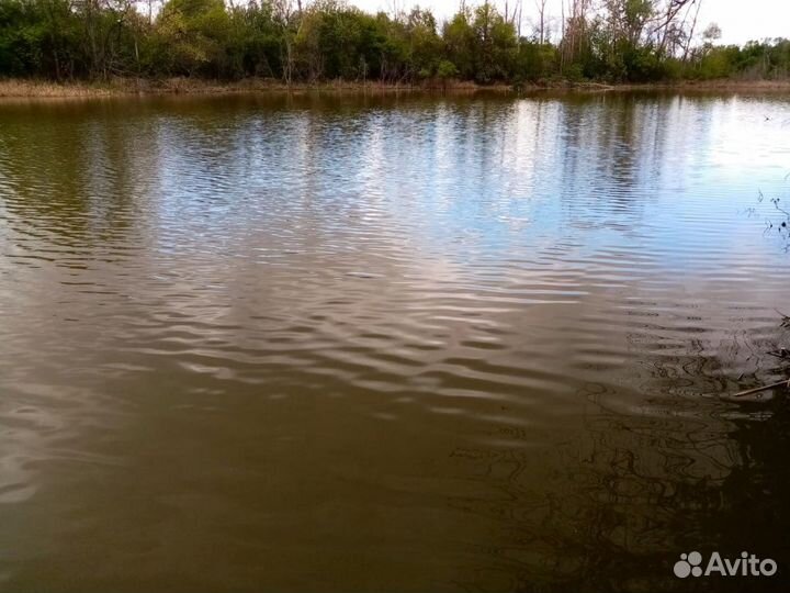 База отдыха и рыбалка