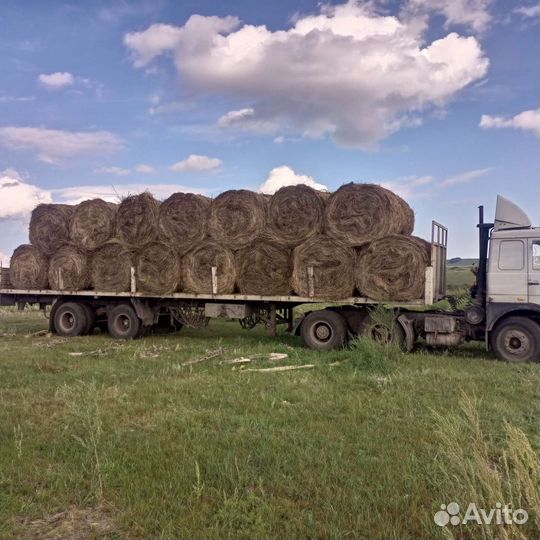 Сено в тюках