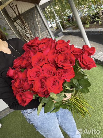 Розы роза цветы