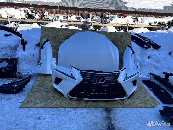 Бампер капот фары крылья Ноускат Lexus NX рестайл