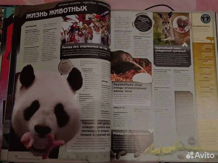 Книга Мировые рекорды Гиннесс 2013