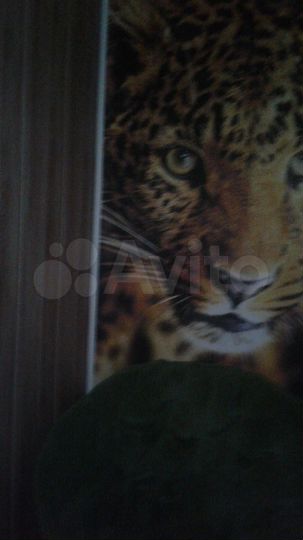 Дом 40 м² на участке 3 сот.