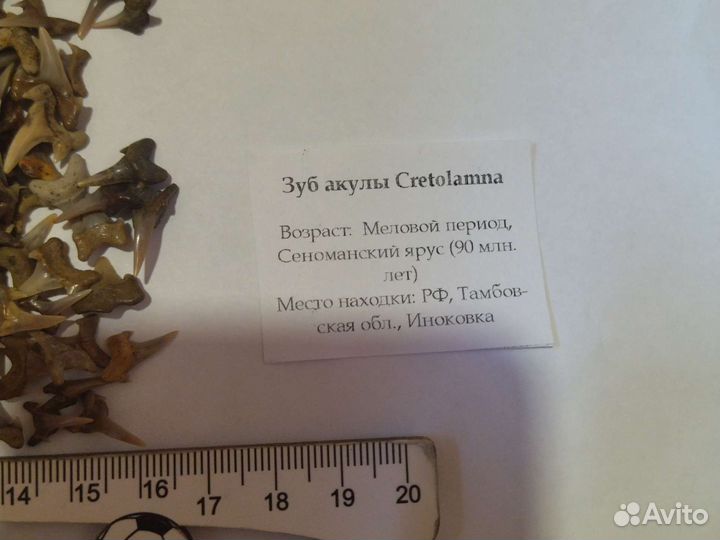 Зуб кретоламны