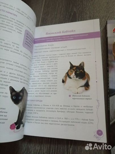 Книги о породах кошек