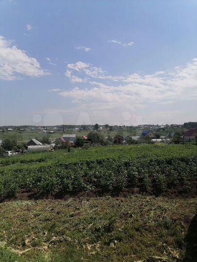 Участок 12 сот. (СНТ, ДНП)