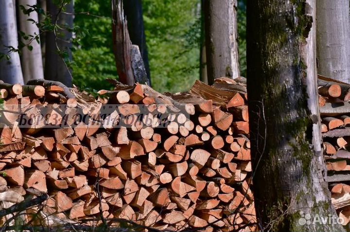 Дрова сухие