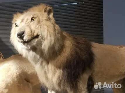 Напишу или продолжу рассказ по вашему сюжету