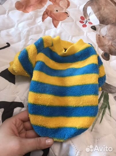 Вещи для маленьких собак