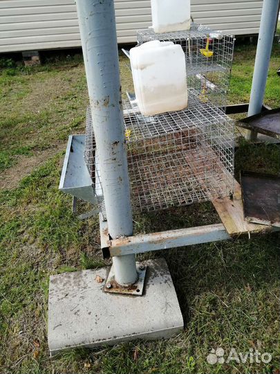 Клетки для перепелов