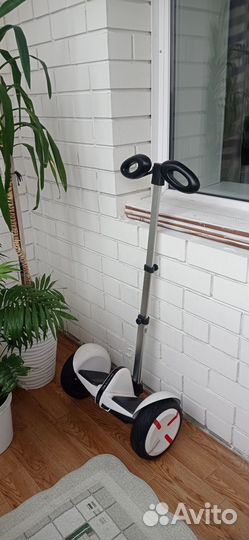 Гироскутер segway