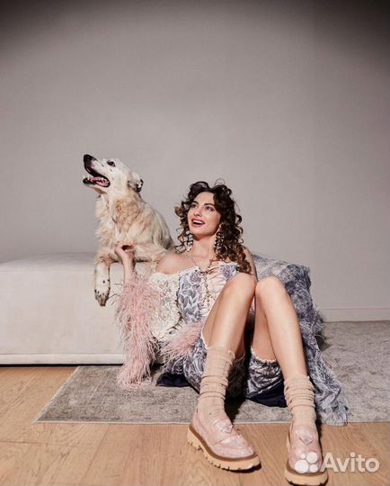 Харизматичный Антоша в поисках дома