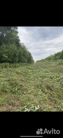 Покос травы, расчистка участка от поросли