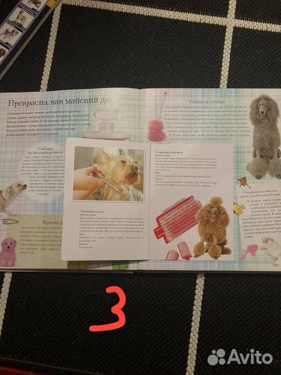 Книги про собак