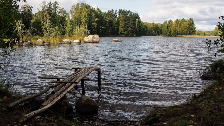 Участок 22 сот. (СНТ, ДНП)