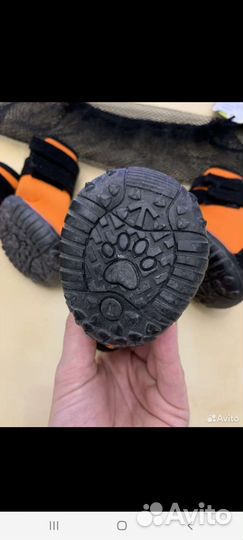 Обувь для собак