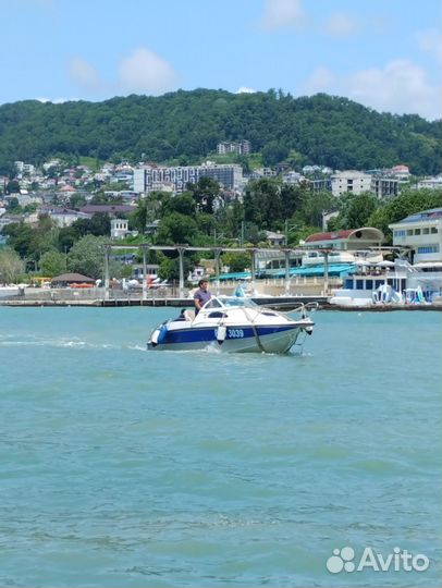 Морская рыбалка в сочи