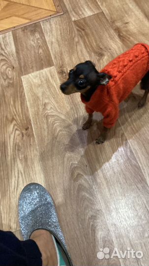 Теплые вязаные вещи для собаки или кота