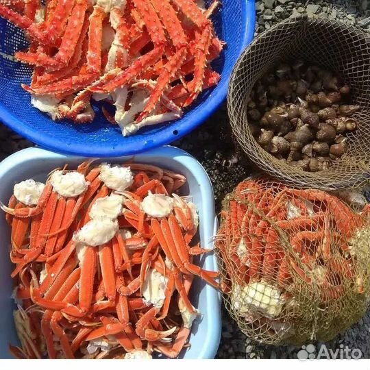 Краб стригун