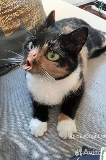 Вышивка гладью