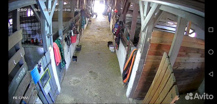 Постой для лошадей