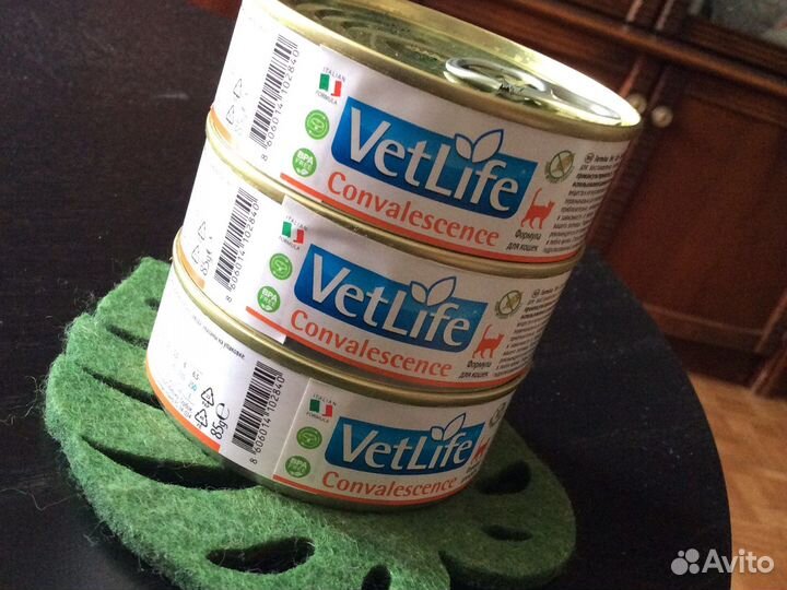 Влажный корм для кошек, восстановление здоровья