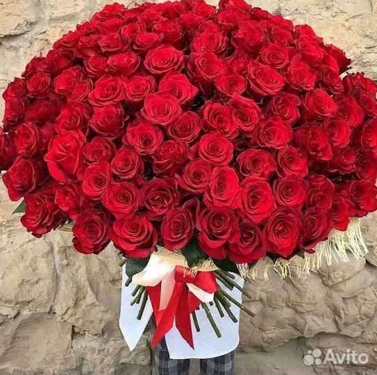 Розы Высокие 150см 160см 170см 180см 190см 2м