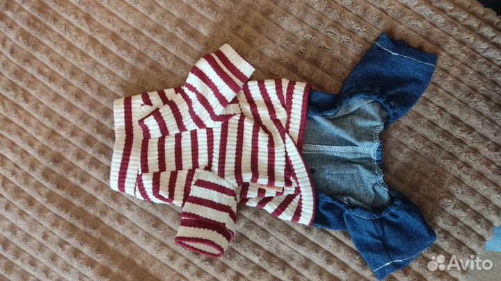 Костюм для собак