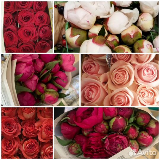 Розы букеты 101 роза/ пионы букеты / пионы опт