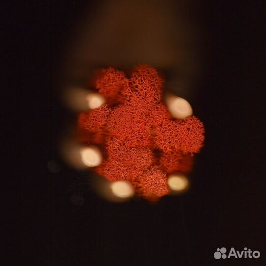 Стабилизированный Мох, Оранжевый