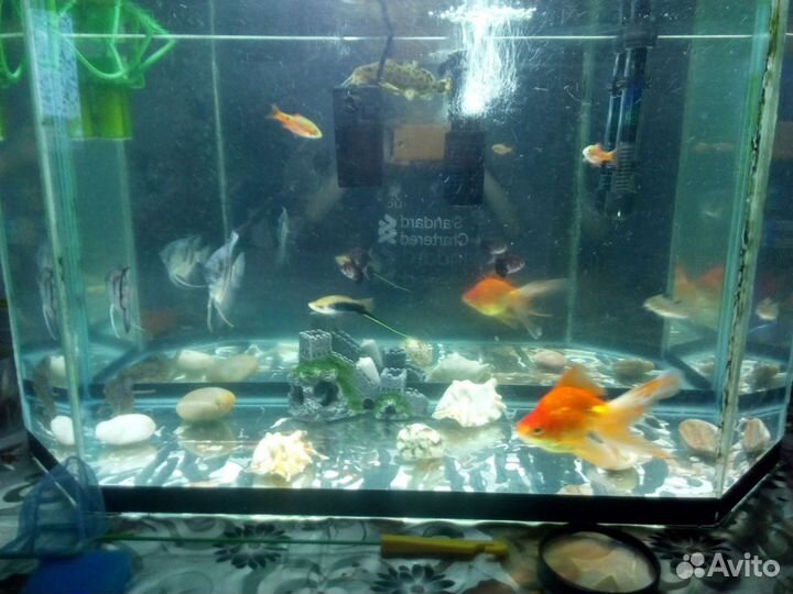 Аквариум