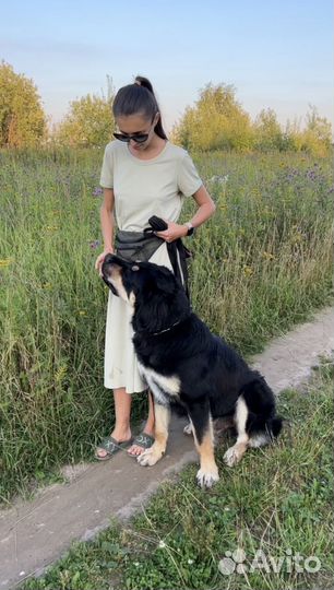 Зоо няня (коты, собаки и другие)