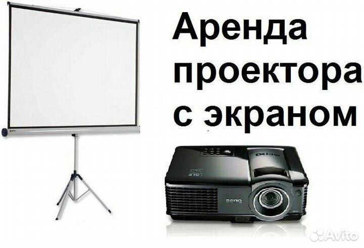 Аренда проектора с экран на праздники
