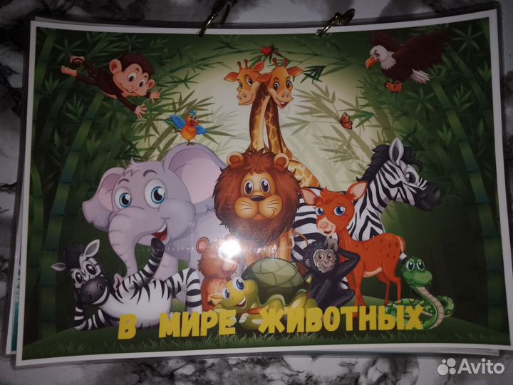 Пособия по окружающему миру