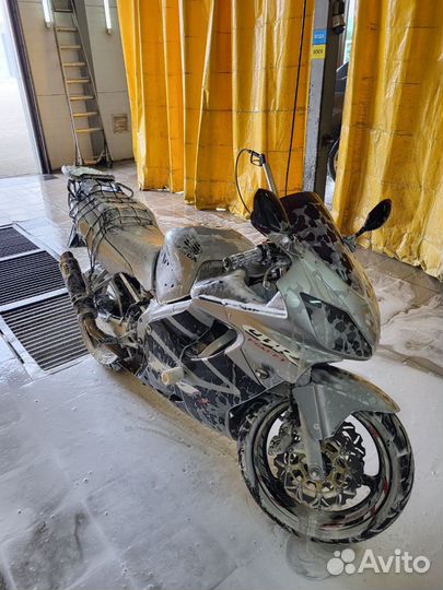 Honda cbr 600 f4i