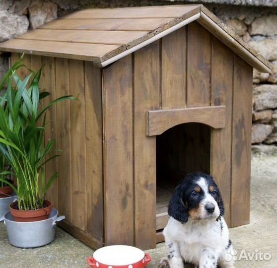 Будка для собаки