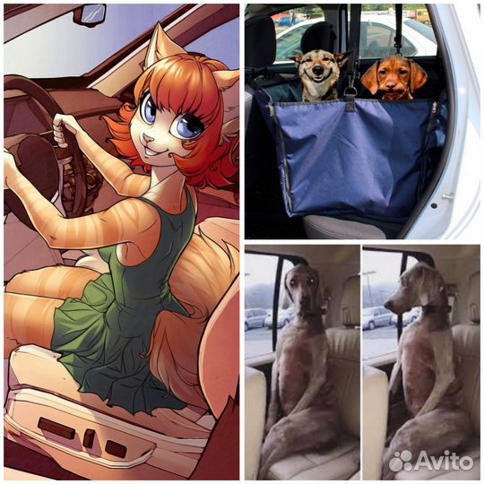 Перевозка животных зоотакси