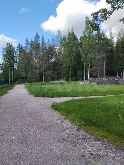 Участок 12,5 сот. (ИЖС)