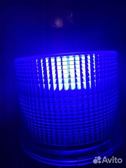 Калпак синий