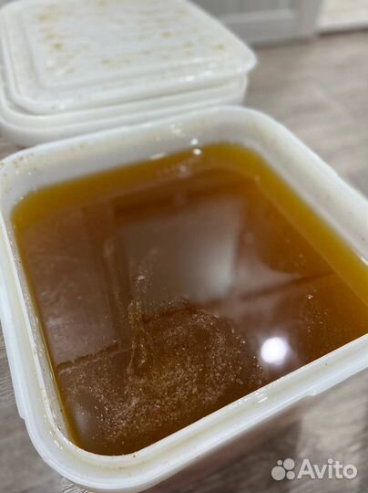 Мед Алтайское разнотравье оптом 2023