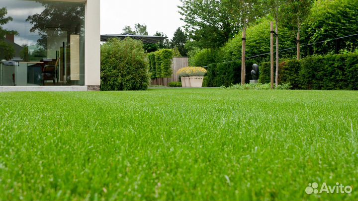 Рулонный газон. Озеленение участка под ключ